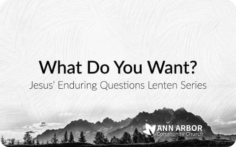 Jesus’ Enduring Questions: What Do You Want? sermon image